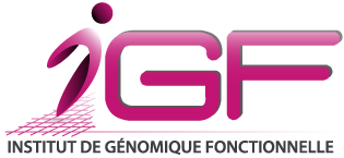 igf